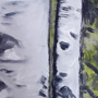 Birken